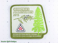 2015 Scoutrees (error)